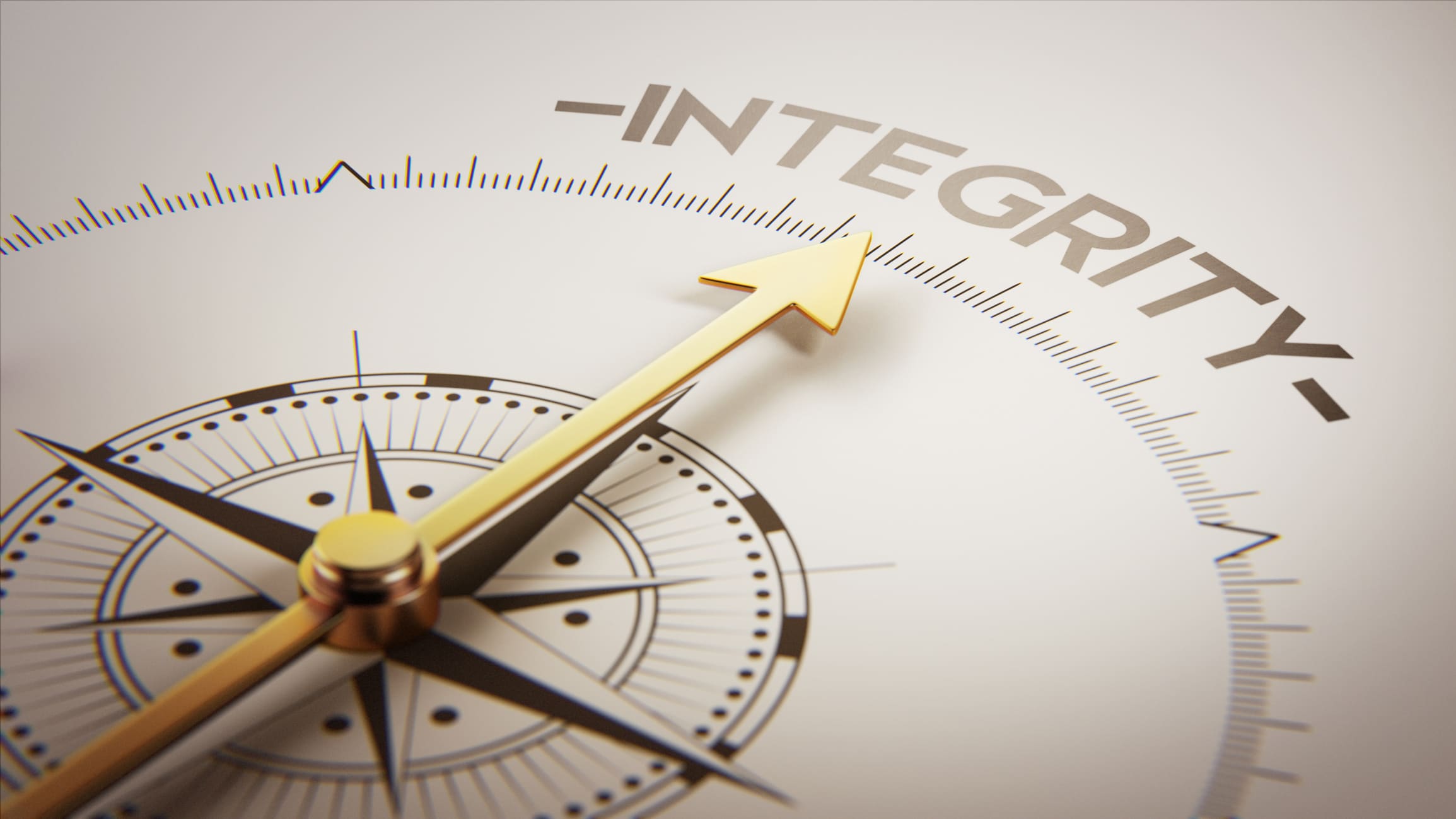 High Resolution Integrity Concept